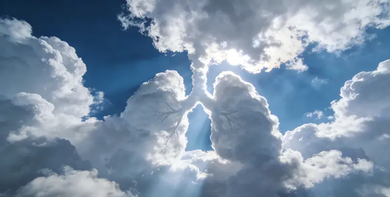 洛阳肺癌靶向120基因检测（组织）图片1