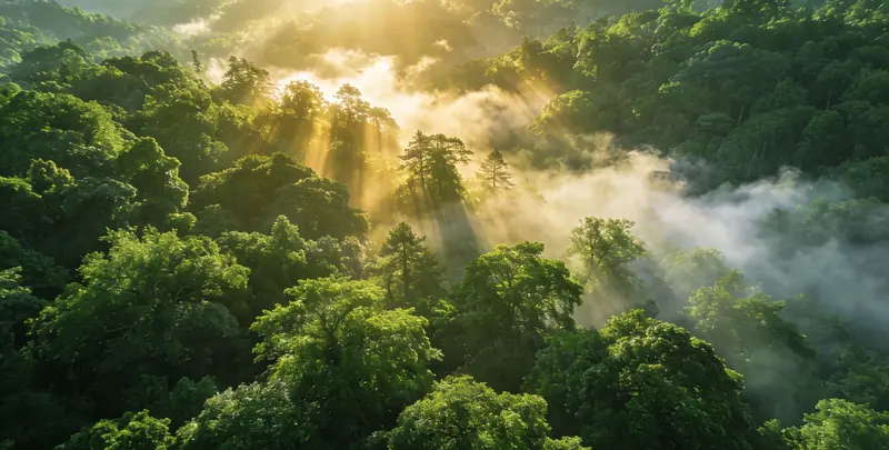 洛阳肺癌12基因ctDNA突变检测(血液）图片1